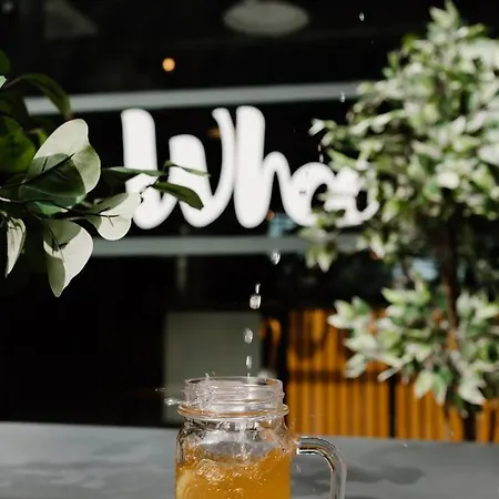 Whoo Bacalan - Hostel